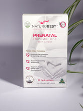 Prenatal Trimester One