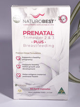 Prenatal Trimester 2 & 3 Plus Breastfeeding