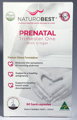 Prenatal Trimester One