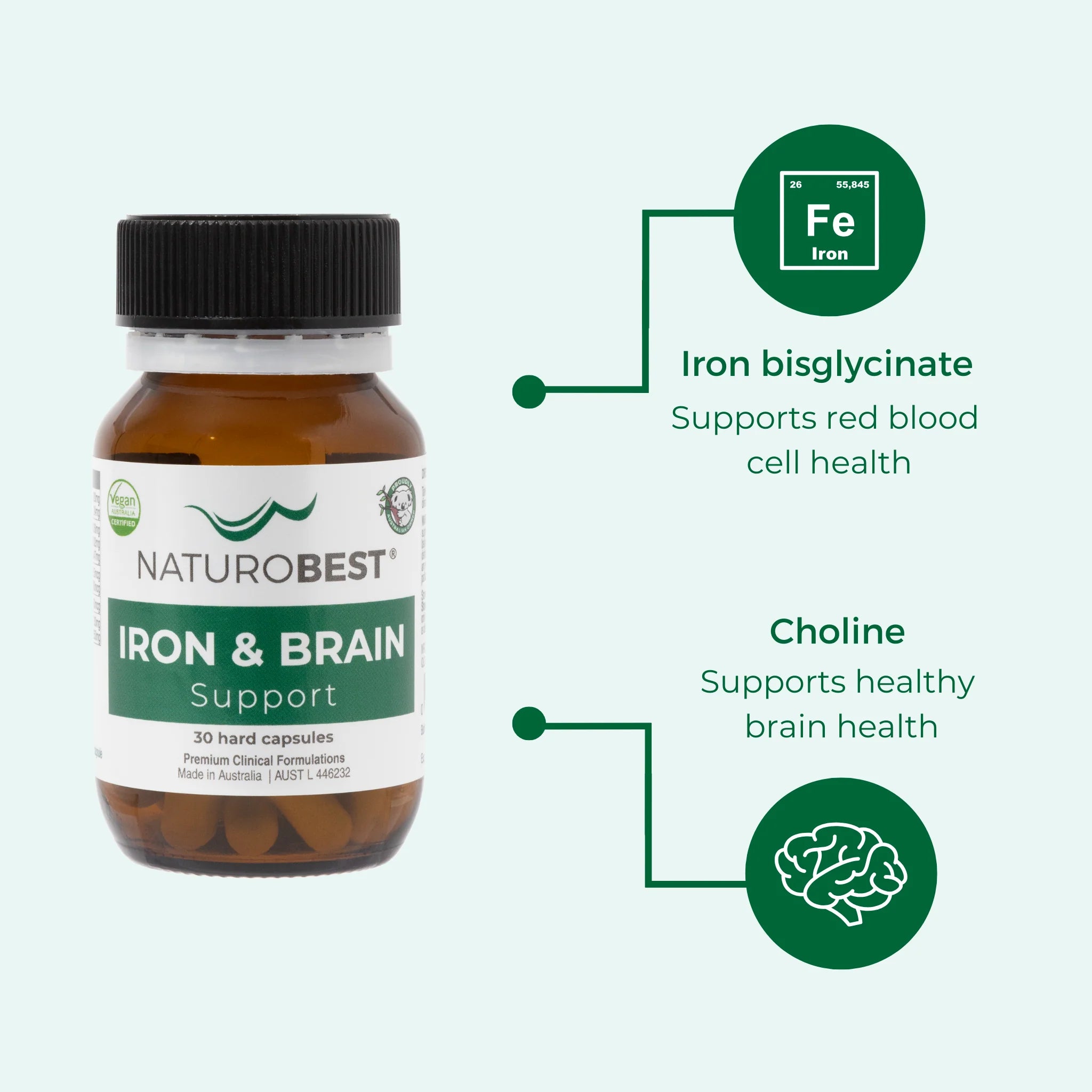 Iron & Brain Support
